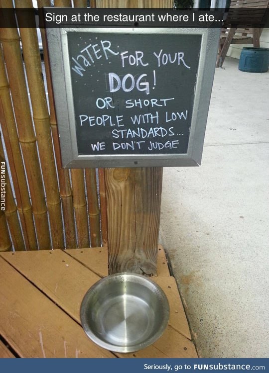Some water for your dog
