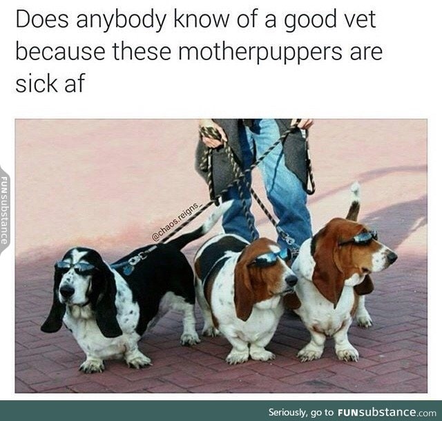 Sick puppers