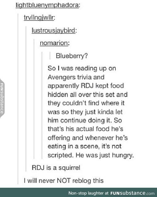 "RDJ is a squirrel"