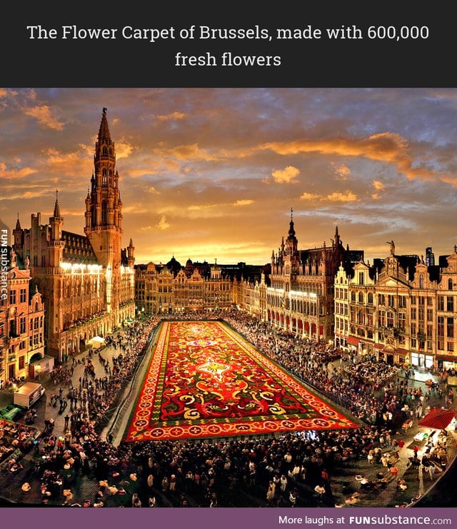 The Flower Carpet of Brussels, made with 600,000 fresh flowers