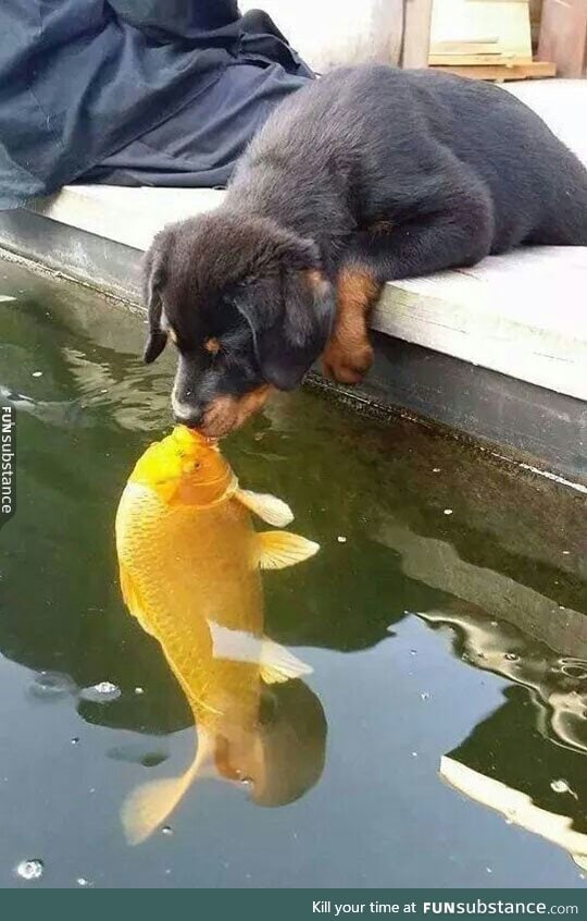 Unexpected kiss