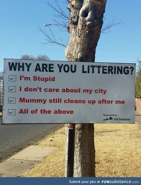 Reasons for littering