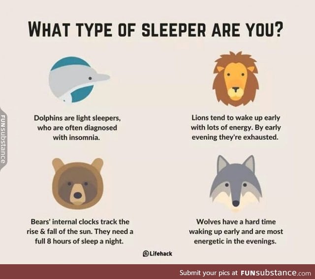 Why type of sleeper