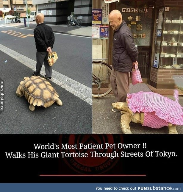 Definitely in Japan!