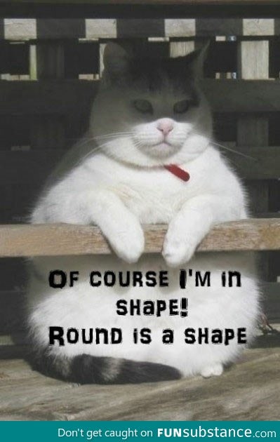 Obviously I'm in shape