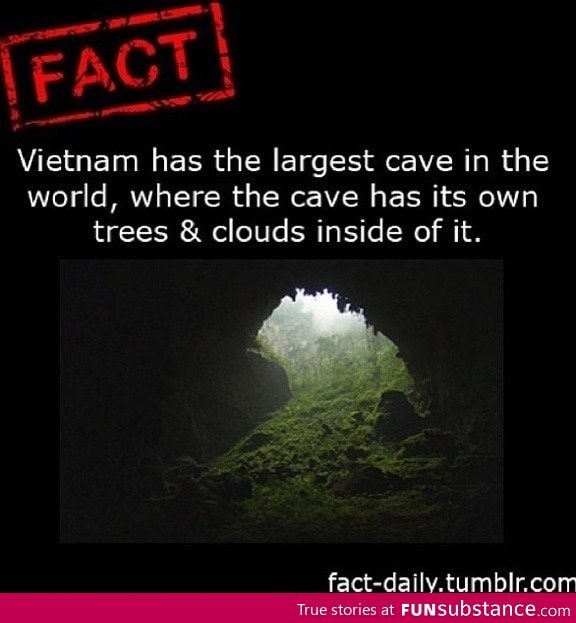 Largest cave in the world