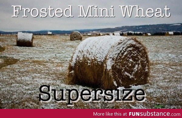 Frosted Mini Wheat