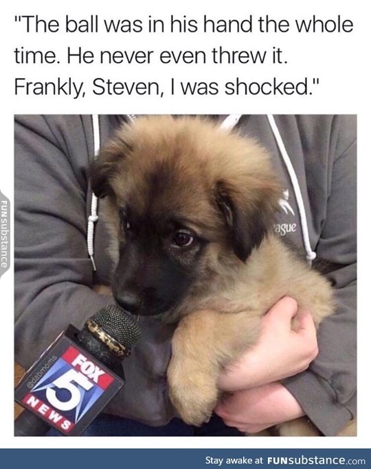 Pupper does an interview