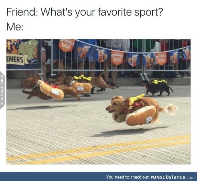 Hot dog racing