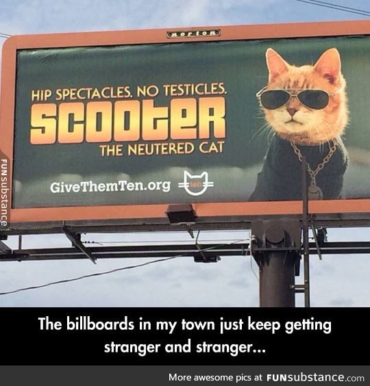 Vet billboards