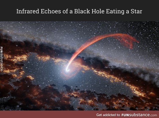 Black Hole Eating a Star