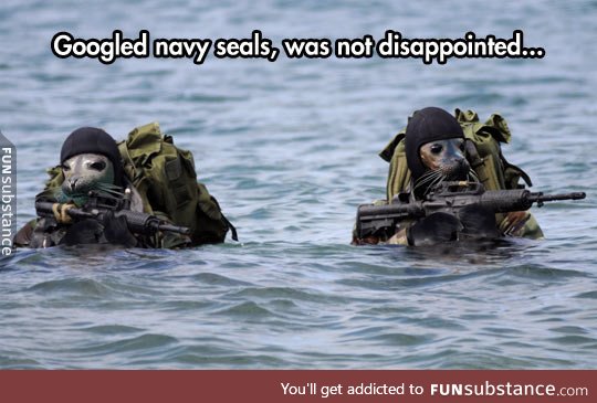 Real Navy Seals