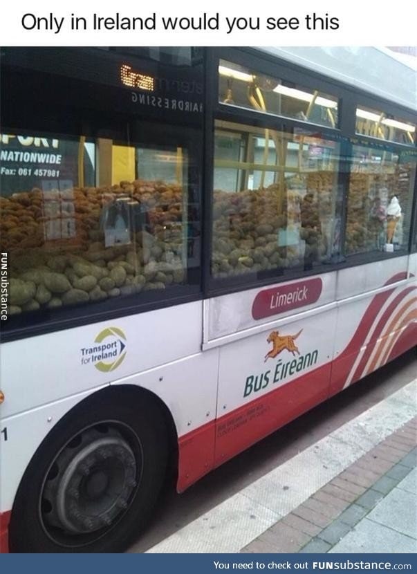 Potato bus