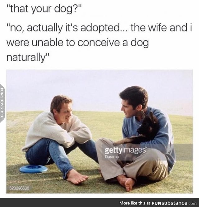 Adopted dog