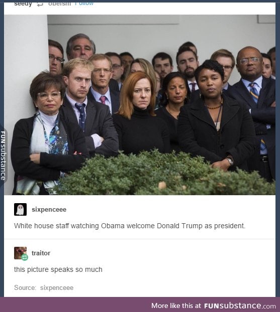 the staff watching Obama congratulate Trump more likely