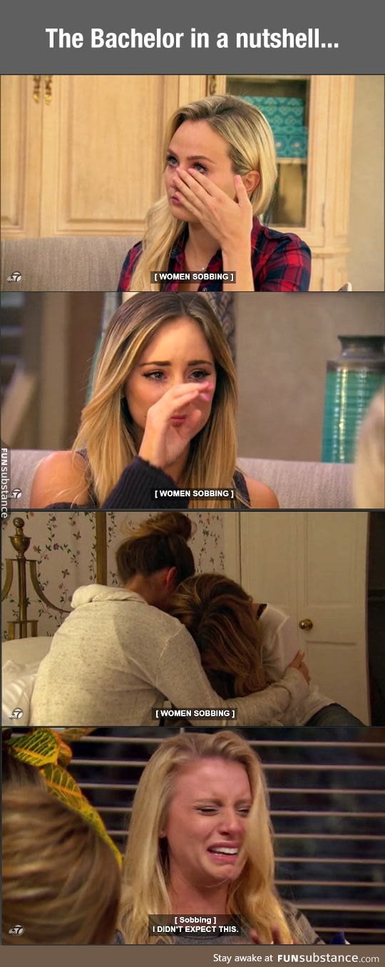 The Bachelor in a nutshell