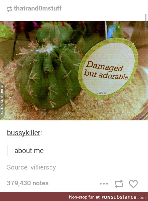 We're all a little damaged,but few are as adorable as this plant