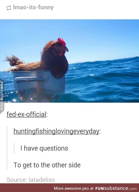 Chicken and water