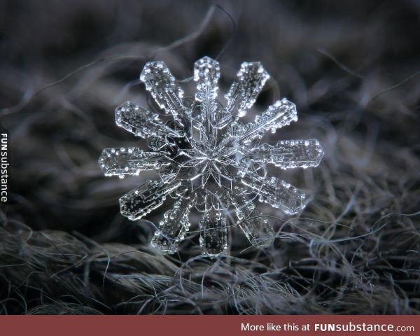 A single snowflake