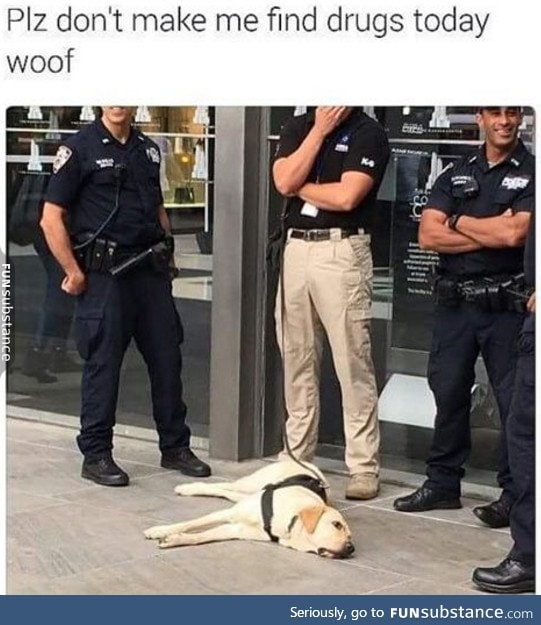 Mood - police dog