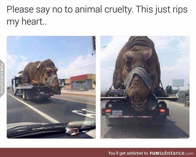 Cruelty