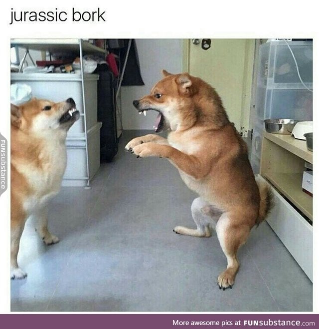 It's a Tyranodoge Bork