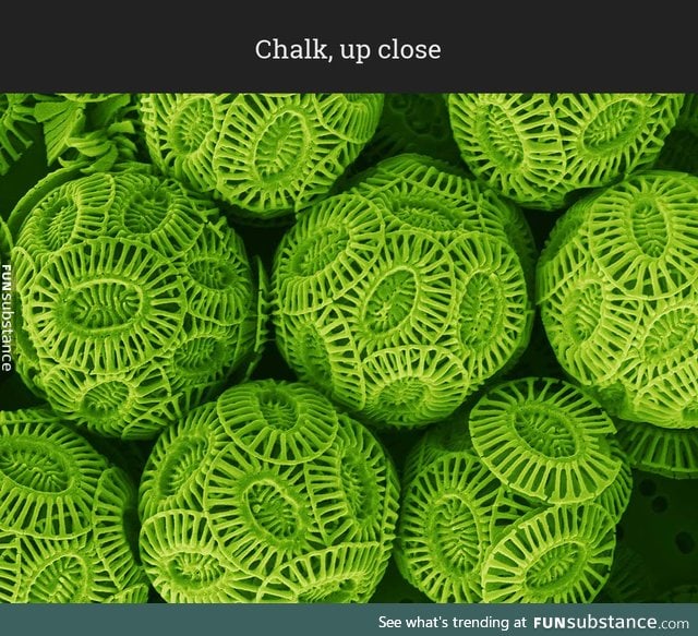 Microscopic view of a chalk