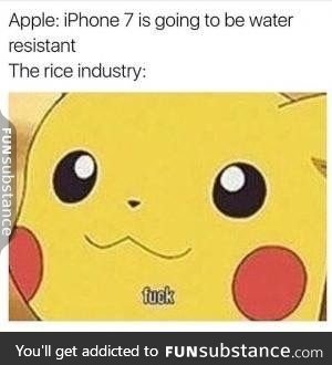 Rice industry