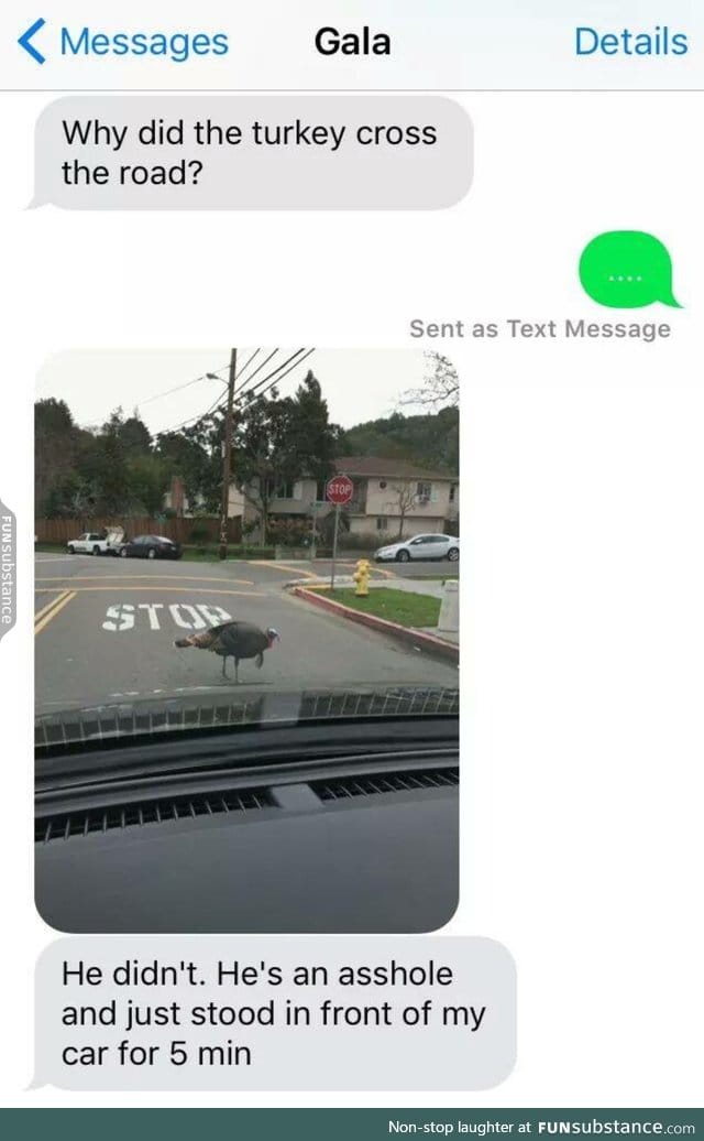 Turkeys are assholes