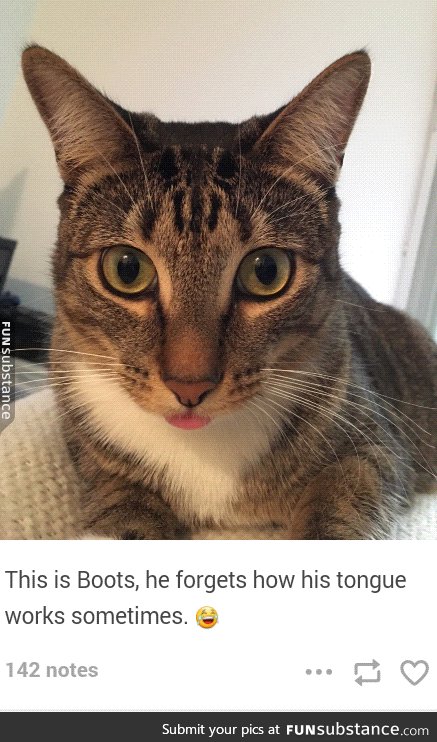 Boots is adorable