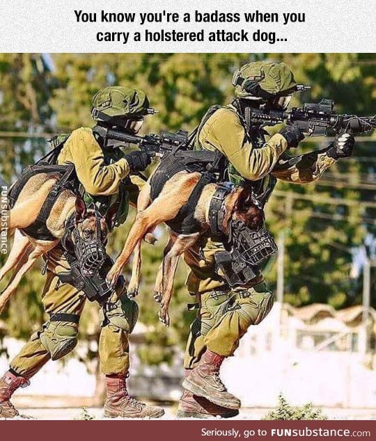 Holstered attack dogs