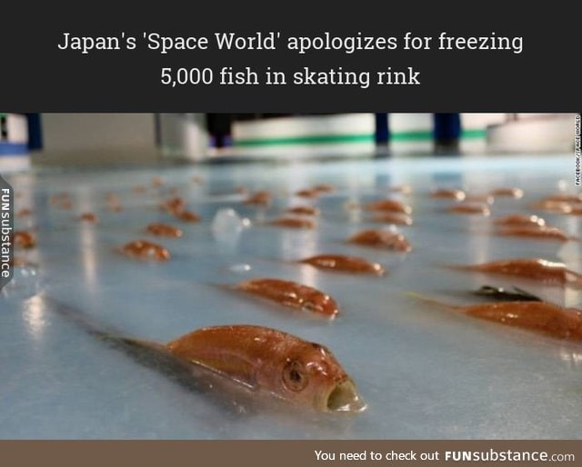 Japan's 'Space World' apologizes for freezing 5,000 fish in skating rink