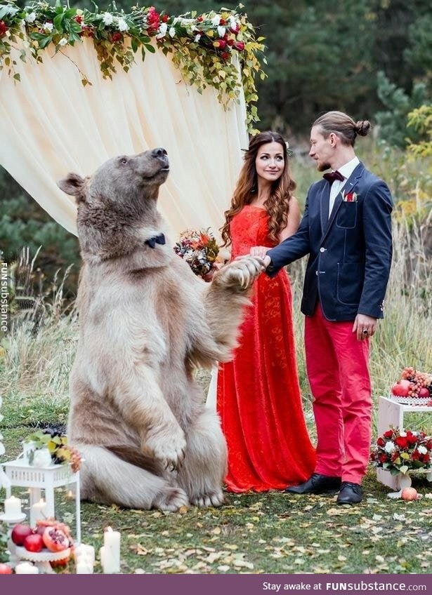 Russian couple getting married by a bear!
