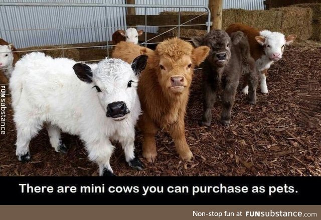 I'm starting a farm