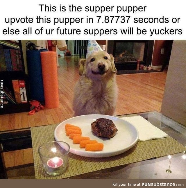Supper pupper