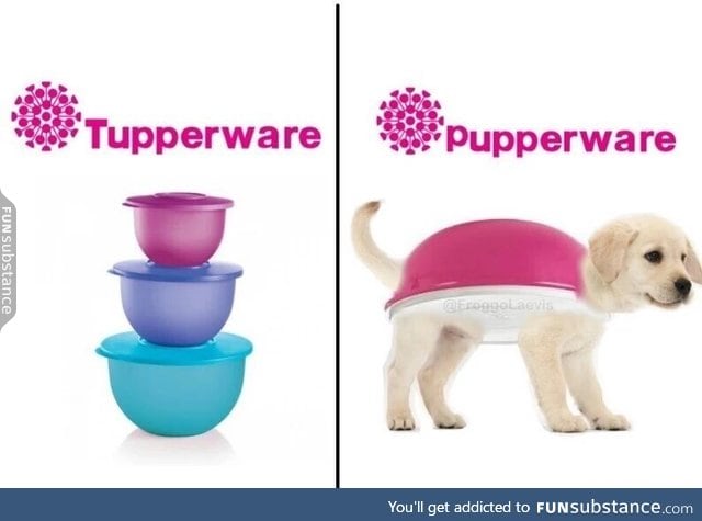 Pupperware