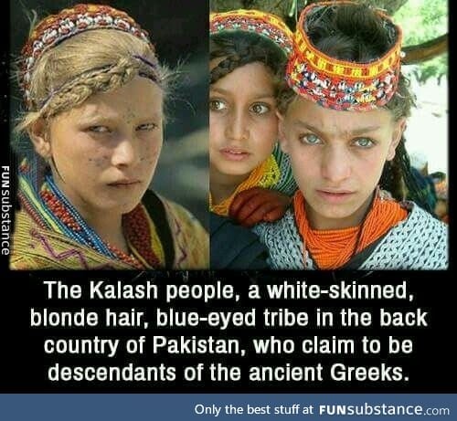 White tribe