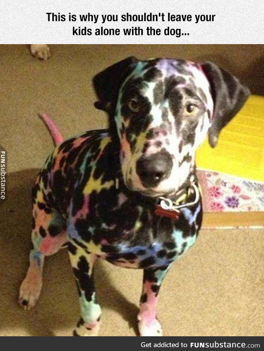 Dog looks awesome, though