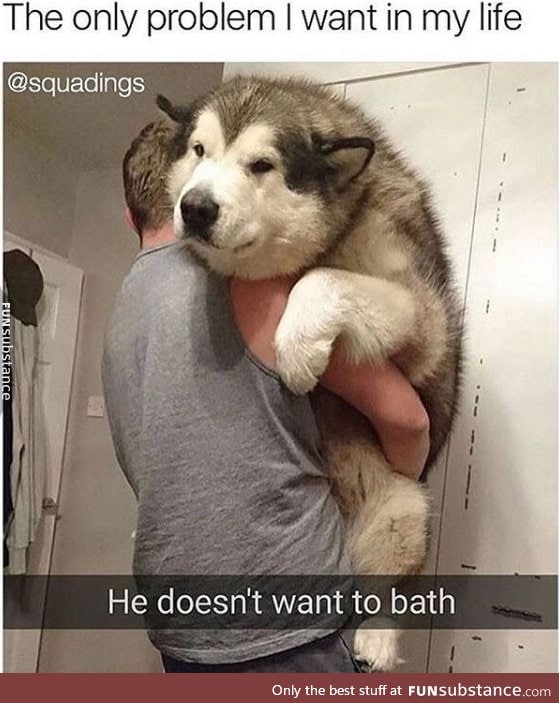 Fluffy doggo doesn't want a bath