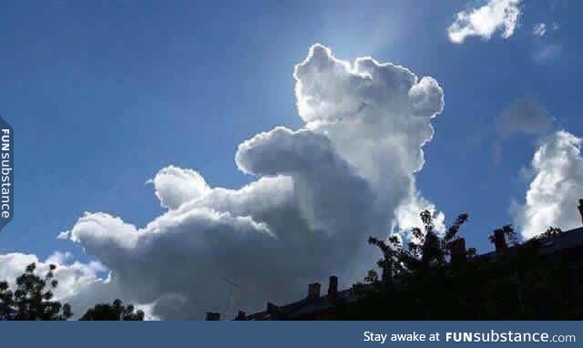 This cloud is a bear