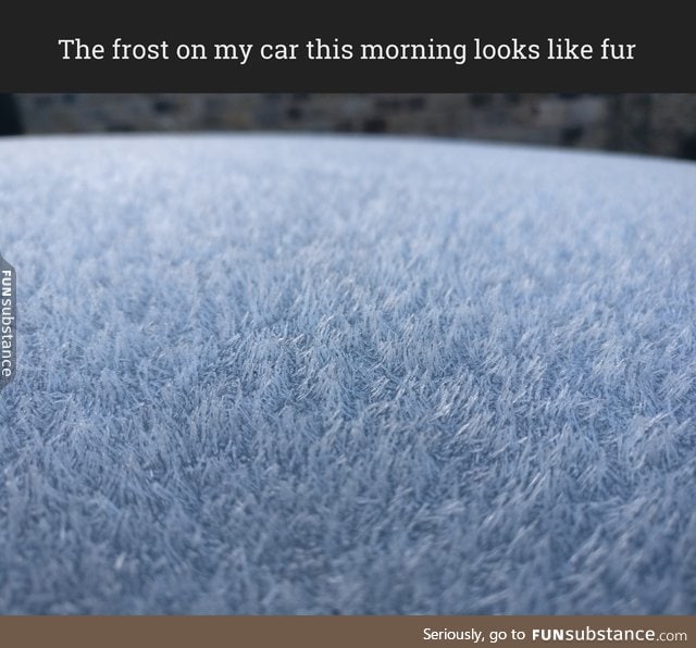 Frost looks like fur