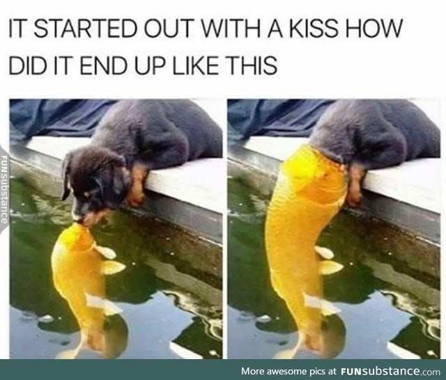 Cause fruitie doesn't know what fish kiss is