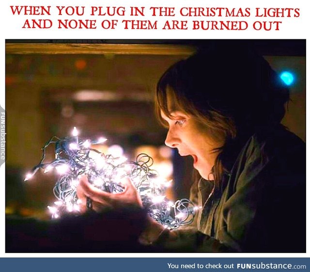 Never too early to put up Christmas lights