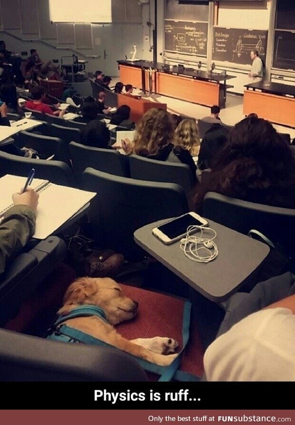 Physics is ruff