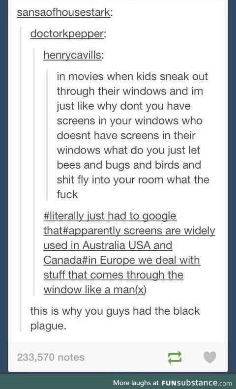 Window puns are a pane to make