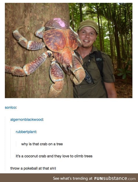 Trees are for everyone! Don't be shellfish!