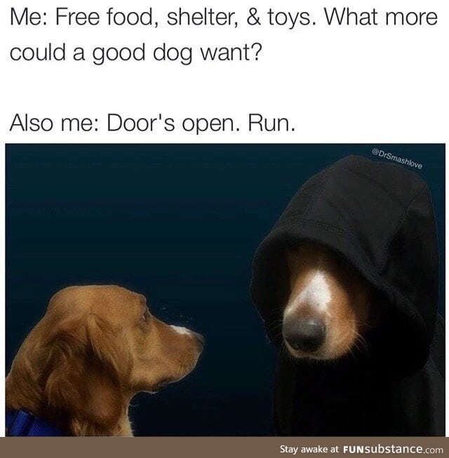 Dog inner thought