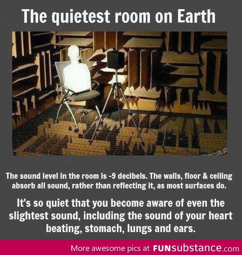 Quietest room on Earth