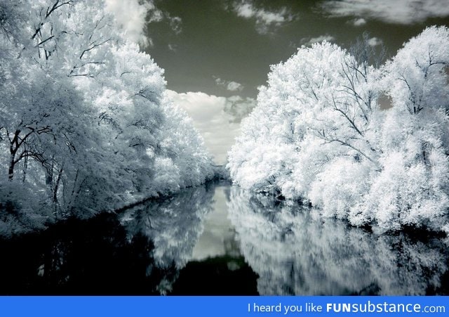 Infrared photography