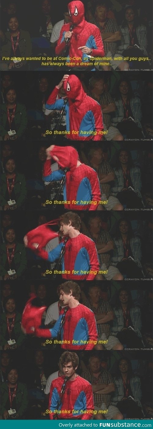Spiderman Win